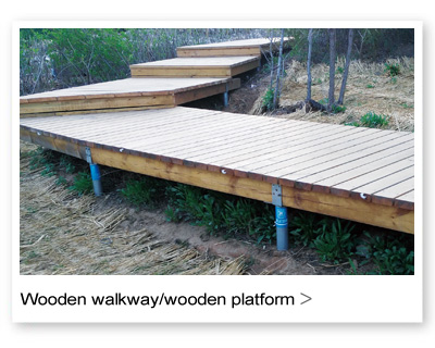 wooden walkway/wooden platform